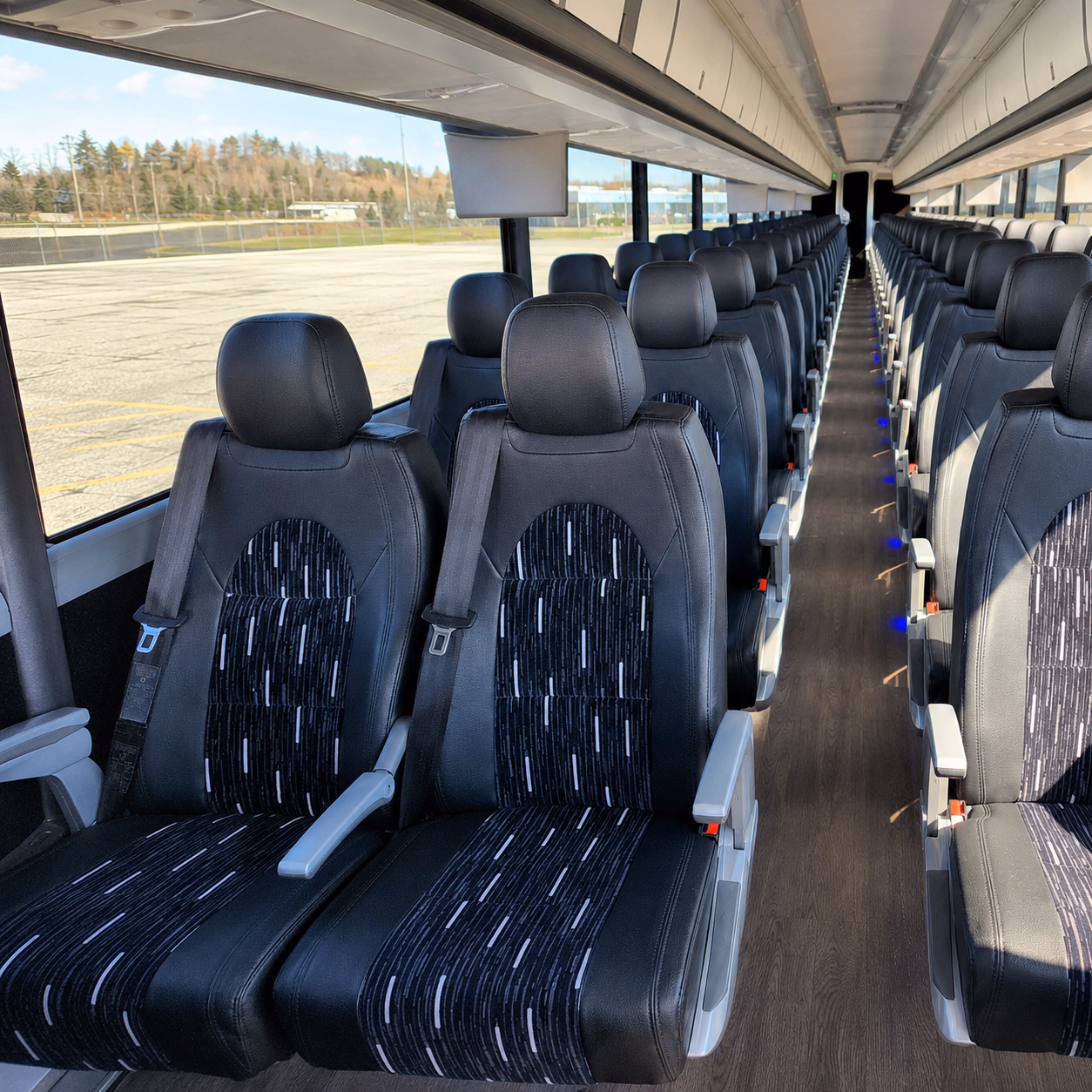 school buses to animal ark and northern nevada wildlife destinations